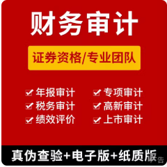 公司企业投标财务报告年度报表离任专项汇算清算年检审计咨询服务
